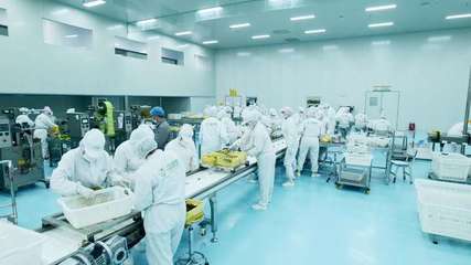 疆果果 深耕新疆堅果，以創新研發打造品質與文化融合的產業標桿